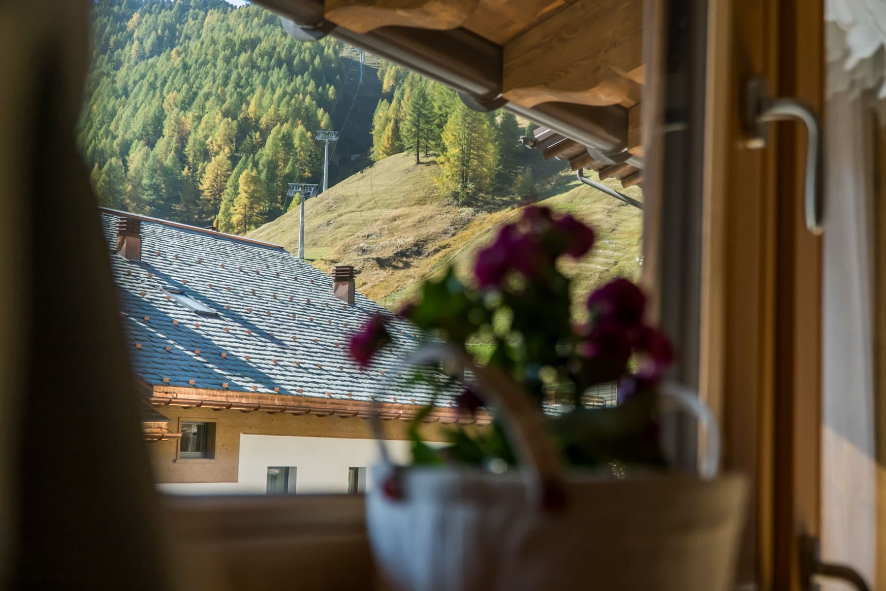 20211009_Bait_Carosello_0221