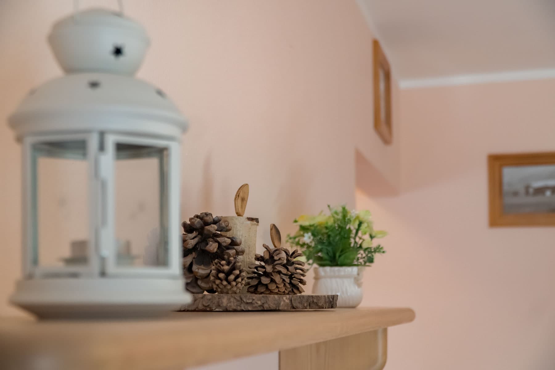 20211009_Bait_Carosello_0174 - Copia