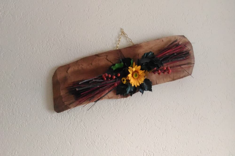 P_20180120_084405_ridimensionare